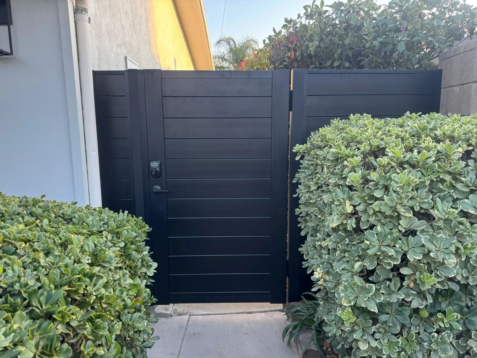 Finished side-yard gate and side panel between walls