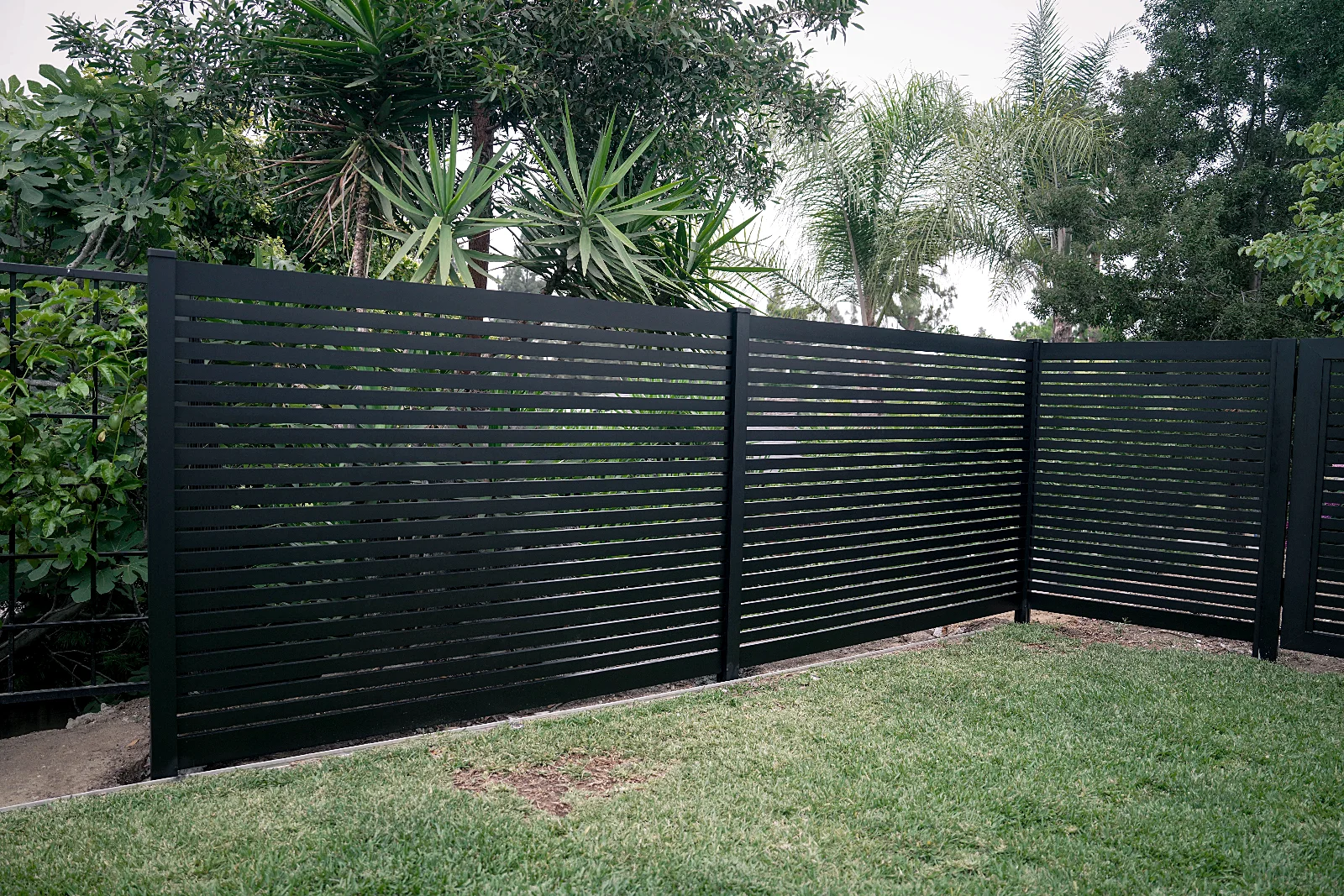 Wide backyard