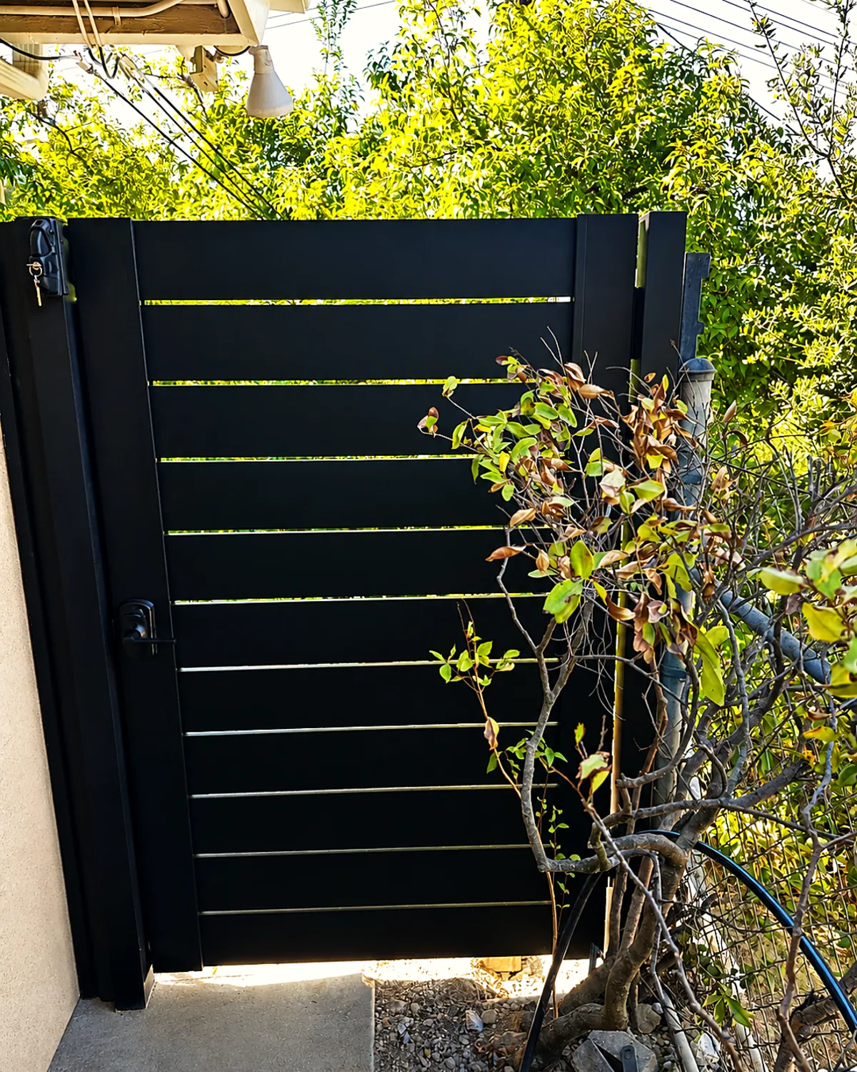 Gate and slat fence